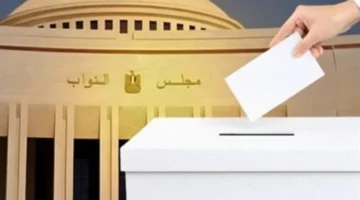 انطلاق التصويت.. المرحلة الثانية لانتخابات مجلس النواب 2025 تبدأ بالمصريين بالخارج
